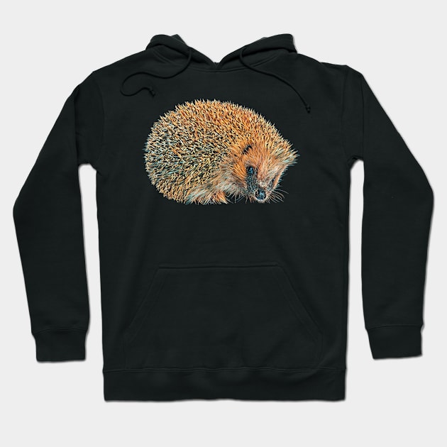 Hedgehog - Woodland Themed Kids Room, Funny Gifts For Forester, Cute Anima Hoodie by Shirtsmania